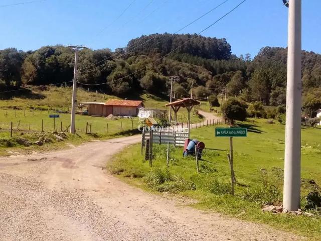Sítio e chácara venda em Região Geográfica Imediata de Caxias do Sul, Caxias do Sul