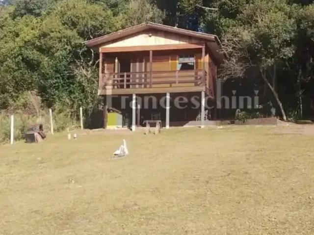 Sítio e chácara venda em Região Geográfica Imediata de Caxias do Sul, Caxias do Sul