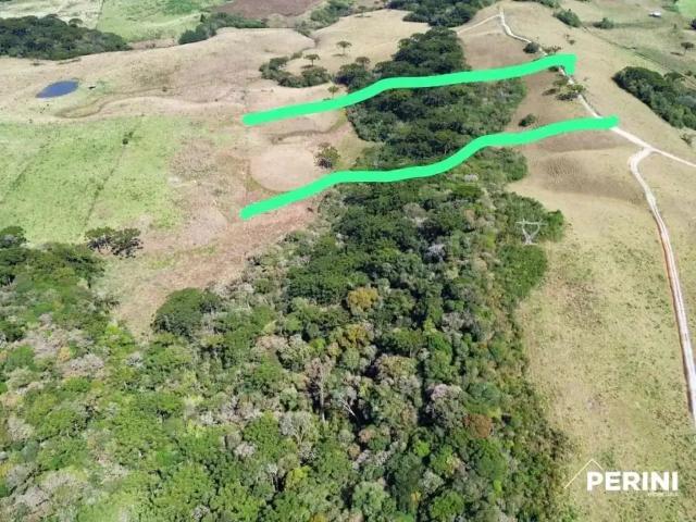 Sítio e chácara venda em Região Geográfica Imediata de Caxias do Sul, Caxias do Sul