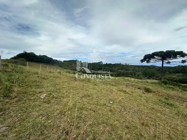 Sítio e chácara venda em Região Geográfica Imediata de Caxias do Sul, Caxias do Sul