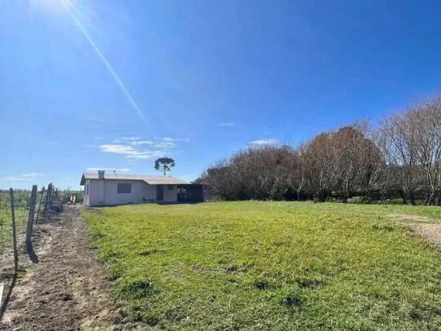 Sítio e chácara venda em Vila Seca, Caxias do Sul