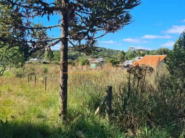 Sítio e chácara venda em Região Geográfica Imediata de Caxias do Sul, Caxias do Sul