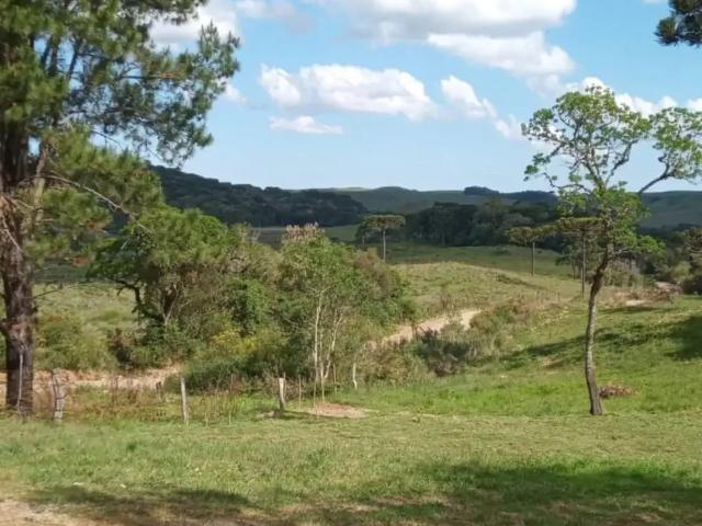 Sítio e chácara venda em Caxias do Sul, Região Geográfica Intermediária de Caxias do Sul