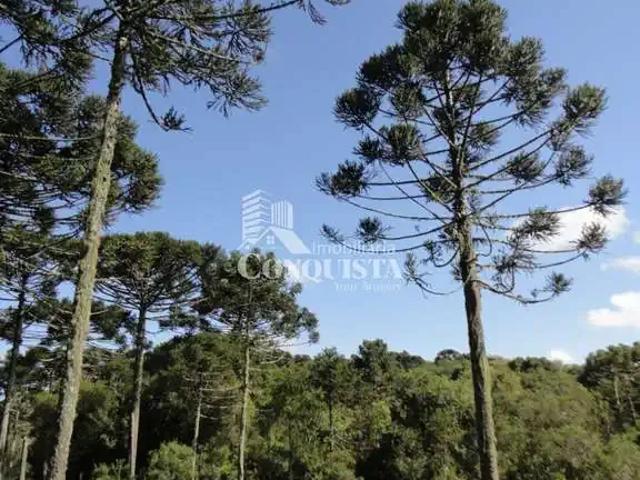 Sítio e chácara venda em Região Geográfica Imediata de Caxias do Sul, Caxias do Sul