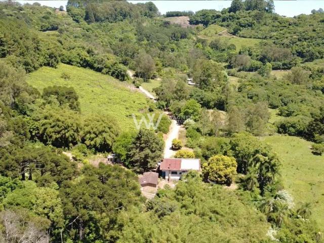 Sítio e chácara venda em Região Geográfica Imediata de Caxias do Sul, Vale Real