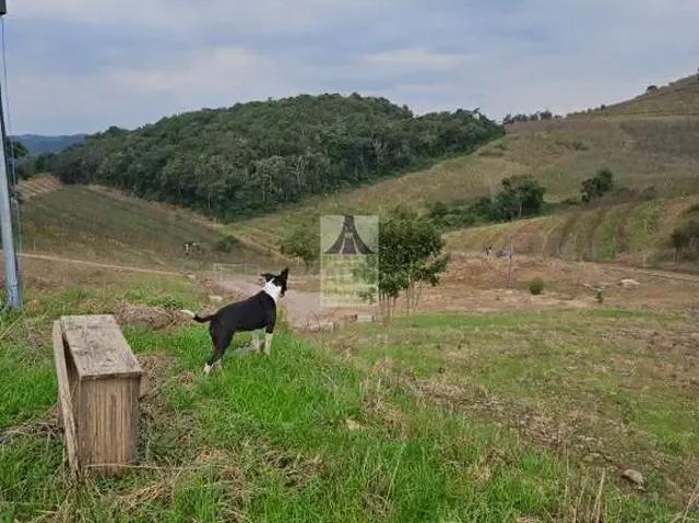 Sítio e chácara venda em Região Geográfica Imediata de Caxias do Sul, Caxias do Sul