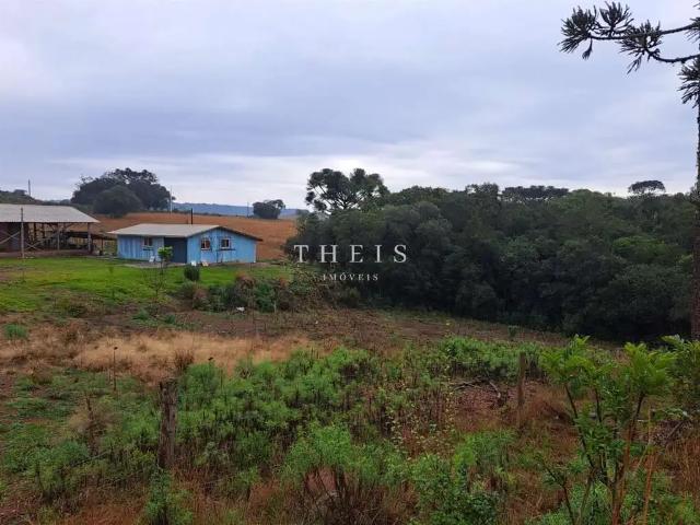 Sítio e chácara venda em Região Geográfica Imediata de Caxias do Sul, Caxias do Sul