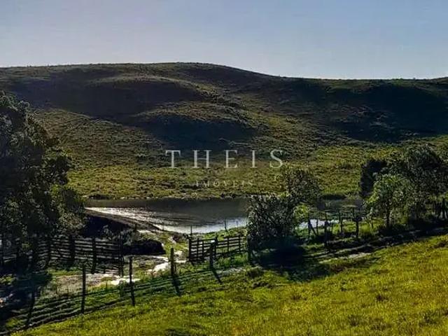 Sítio e chácara venda em Região Geográfica Imediata de Caxias do Sul, Caxias do Sul