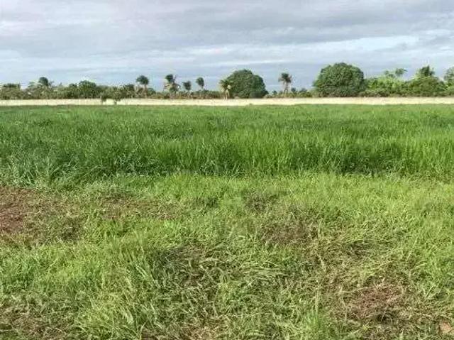 Sítio e chácara venda em Região Geográfica Imediata de Aracati, Aracati