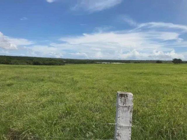 Sítio e chácara venda em Centro, Ceará-Mirim