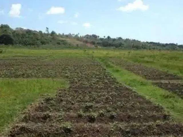 Sítio e chácara venda em Região Geográfica Imediata de Aracati, Aracati