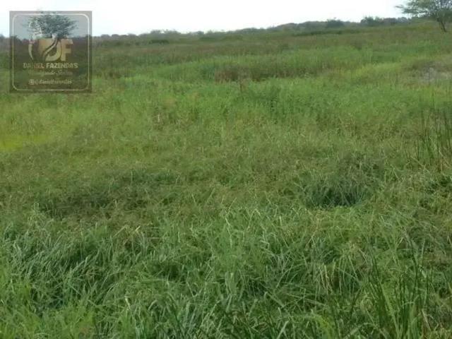 Sítio e chácara venda em Região Geográfica Imediata de Aracati, Aracati