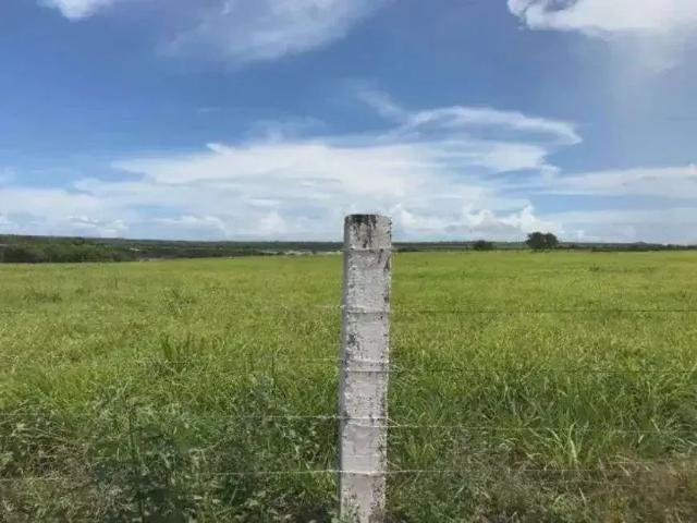 Sítio e chácara venda em Região Geográfica Imediata de Aracati, Aracati