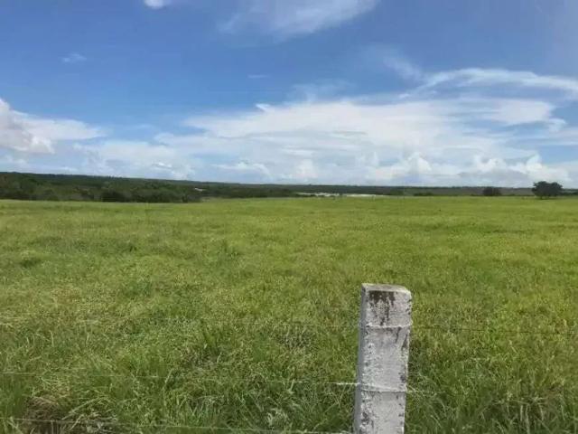 Sítio e chácara venda em Região Geográfica Imediata de Aracati, Aracati