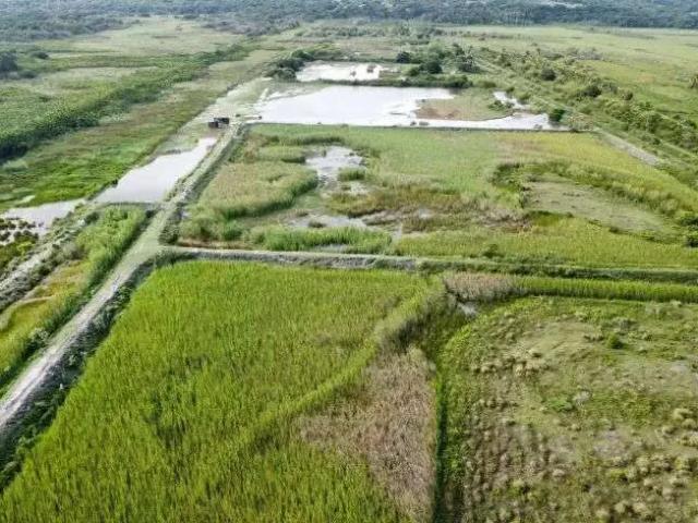 Sítio e chácara venda em Região Geográfica Imediata de Aracati, Aracati