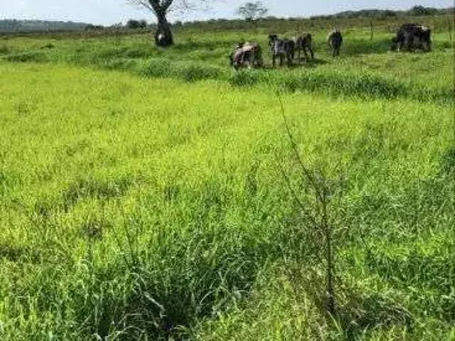 Sítio e chácara venda em Região Geográfica Imediata de Aracati, Aracati