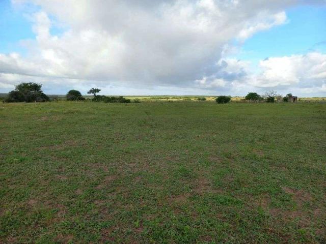 Sítio e chácara venda em Aracati, Região Geográfica Intermediária de Quixadá