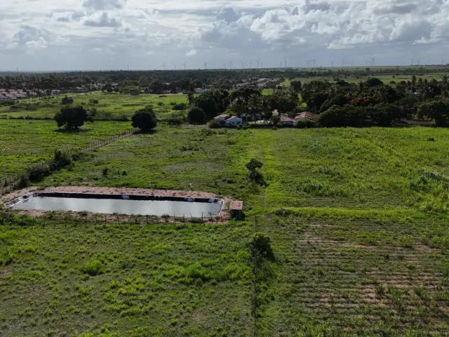 Sítio e chácara venda em Região Geográfica Imediata de Natal, Ceará-Mirim