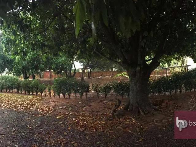 Sítio e chácara venda em Região Imediata de São José do Rio Preto, Região Metropolitana de São José do Rio Preto