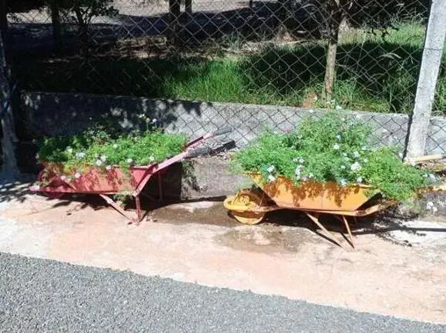 Sítio e chácara venda em Região Imediata de São José do Rio Preto, Região Metropolitana de São José do Rio Preto