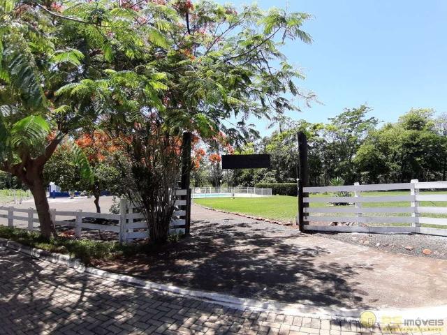 Sítio e chácara venda em Região Geográfica Imediata de Londrina, Centenário do Sul