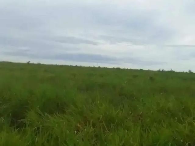 Sítio e chácara venda em Região Geográfica Imediata de Guaraí, Centenário