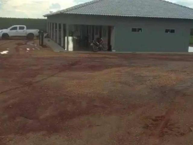Sítio e chácara venda em Centenário, Região Geográfica Intermediária de Araguaína