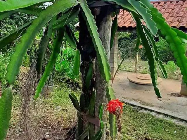 Sítio e chácara venda em Região Imediata de Sorocaba, Região Metropolitana de Sorocaba