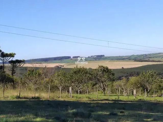 Sítio e chácara venda em Região Geográfica Imediata de Pelotas, Cerrito