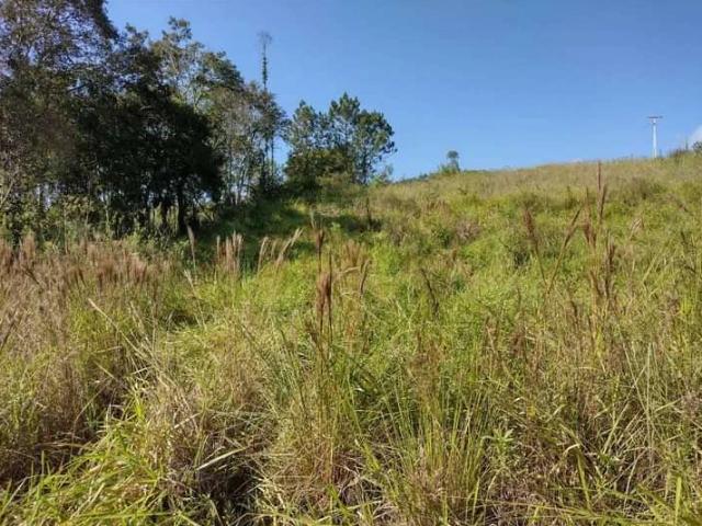Sítio e chácara venda em Cerro Azul, Região Geográfica Intermediária de Curitiba