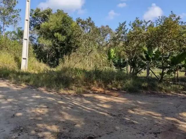 Sítio e chácara venda em Região Geográfica Imediata de Pitanga, Pitanga