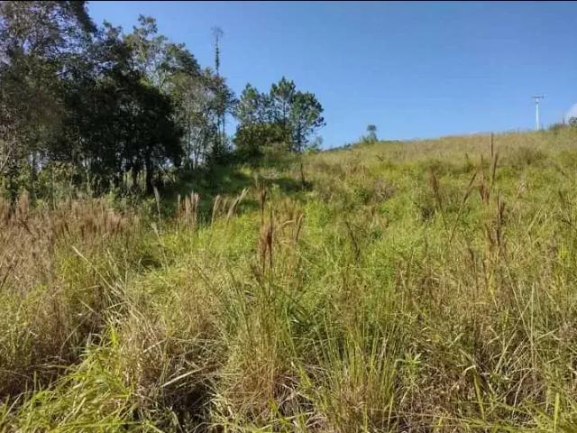 Sítio e chácara venda em Região Geográfica Imediata de Pitanga, Pitanga