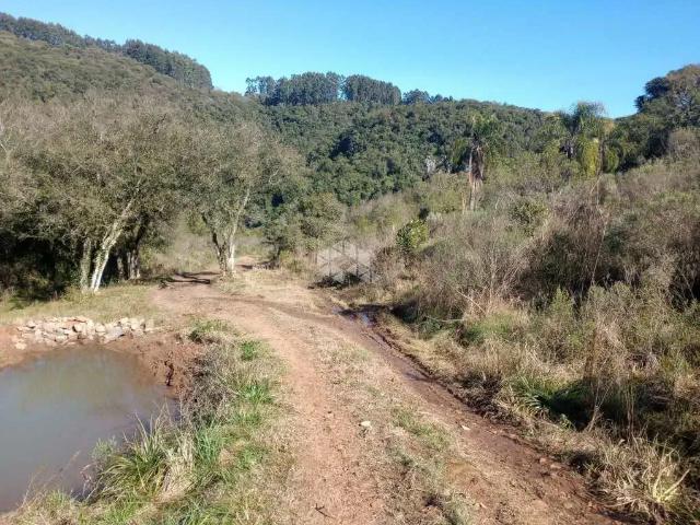Sítio e chácara venda em Região Geográfica Imediata de Cachoeira do Sul, Cerro Branco