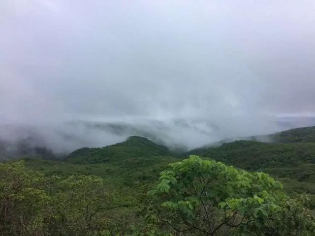 Sítio e chácara venda em Cerro Corá, Rio Grande do Norte