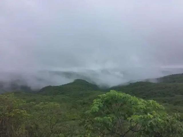 Sítio e chácara venda em Região Geográfica Imediata de Currais Novos, Cerro Corá