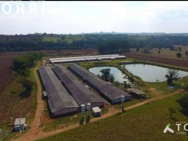 Sítio e chácara venda em Jardim Alvorada, Cesario Lange