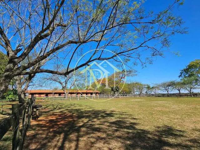 Sítio e chácara venda em Centro, Cesario Lange