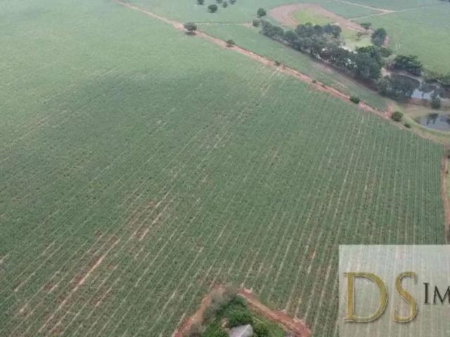 Sítio e chácara venda em Jardim Paulista, Cesário Lange