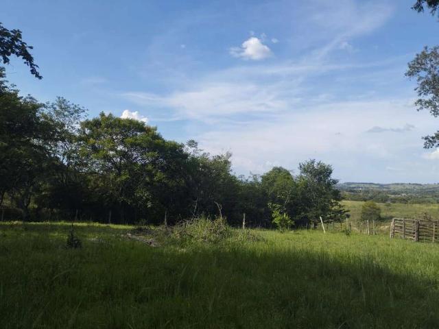 Sítio e chácara venda em Altos da Santa Cruz, Cesário Lange