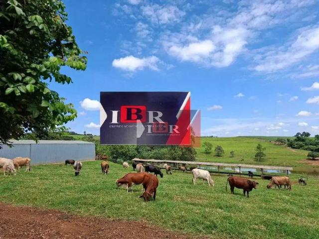 Sítio e chácara venda em Centro, Cesario Lange