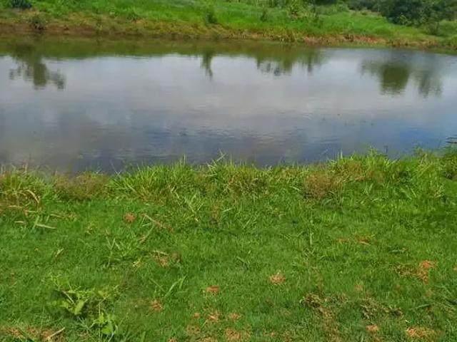 Sítio e chácara venda em Centro, Cesario Lange