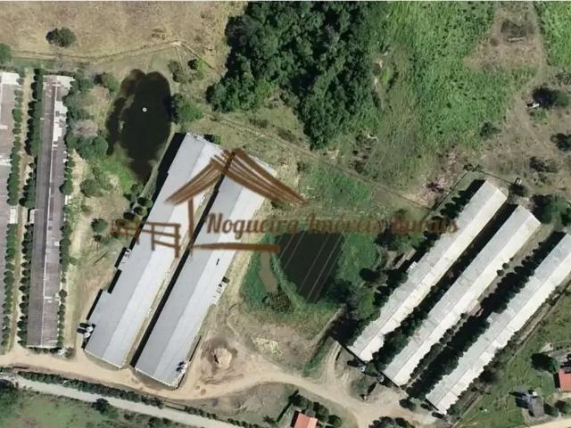 Sítio e chácara venda em Centro, Cesario Lange