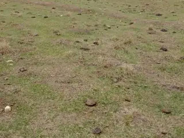 Sítio e chácara venda em Região Imediata de Tatuí, Região Metropolitana de Sorocaba