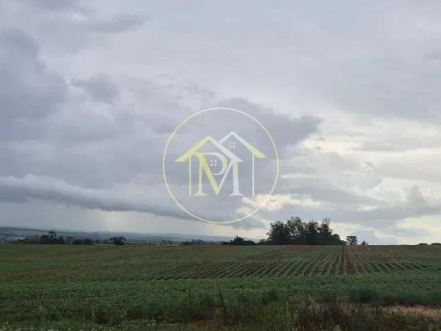 Sítio e chácara venda em Cesário Lange, Região Geográfica Intermediária de Sorocaba
