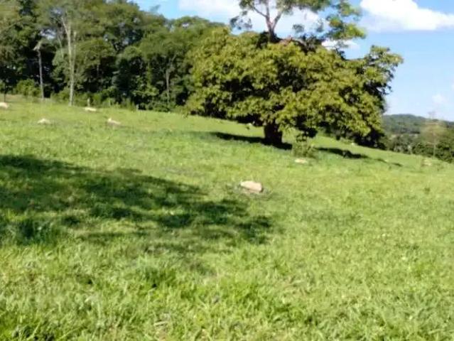 Sítio e chácara venda em Região Geográfica Imediata de Palmeiras de Goiás, Cezarina