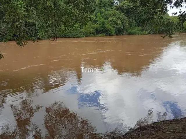 Sítio e chácara venda em Região Geográfica Imediata de Palmeiras de Goiás, Cezarina
