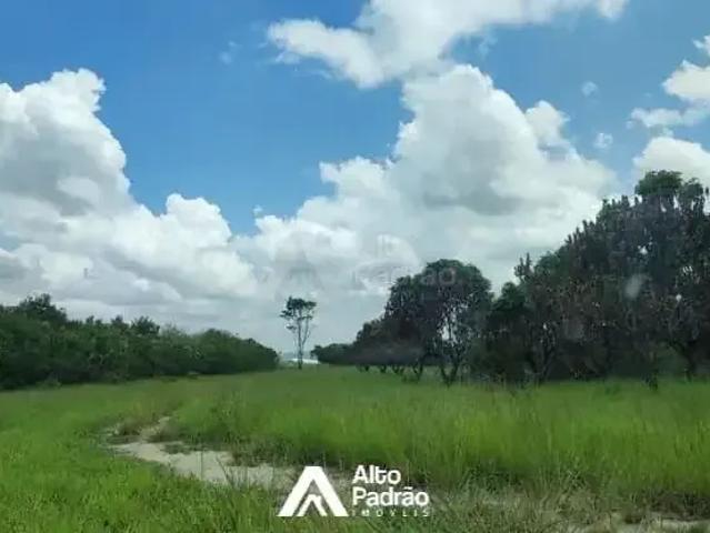 Sítio e chácara venda em Região Geográfica Imediata de Caruaru, Chá Grande