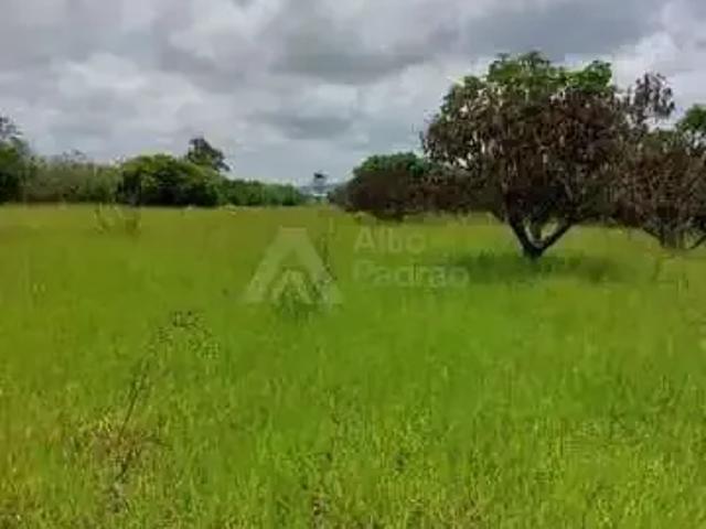 Sítio e chácara venda em Região Geográfica Imediata de Caruaru, Chá Grande