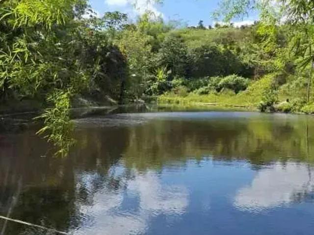 Sítio e chácara venda em Região Geográfica Imediata de Caruaru, Chá Grande