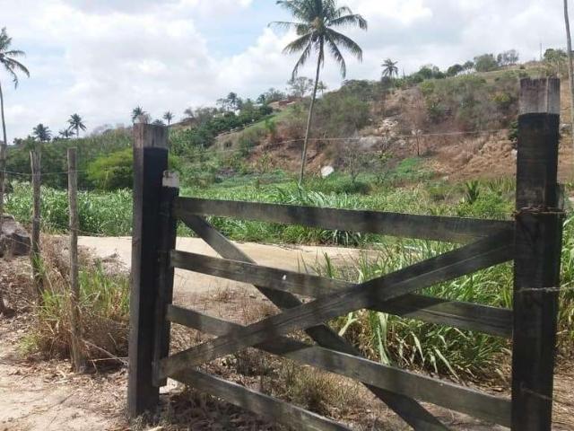 Sítio e chácara venda em Região Geográfica Imediata de Caruaru, Chá Grande